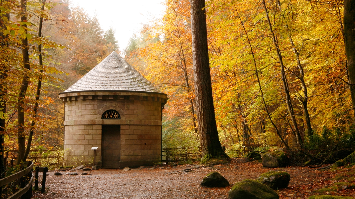 Hermitage_1691691138.jpg