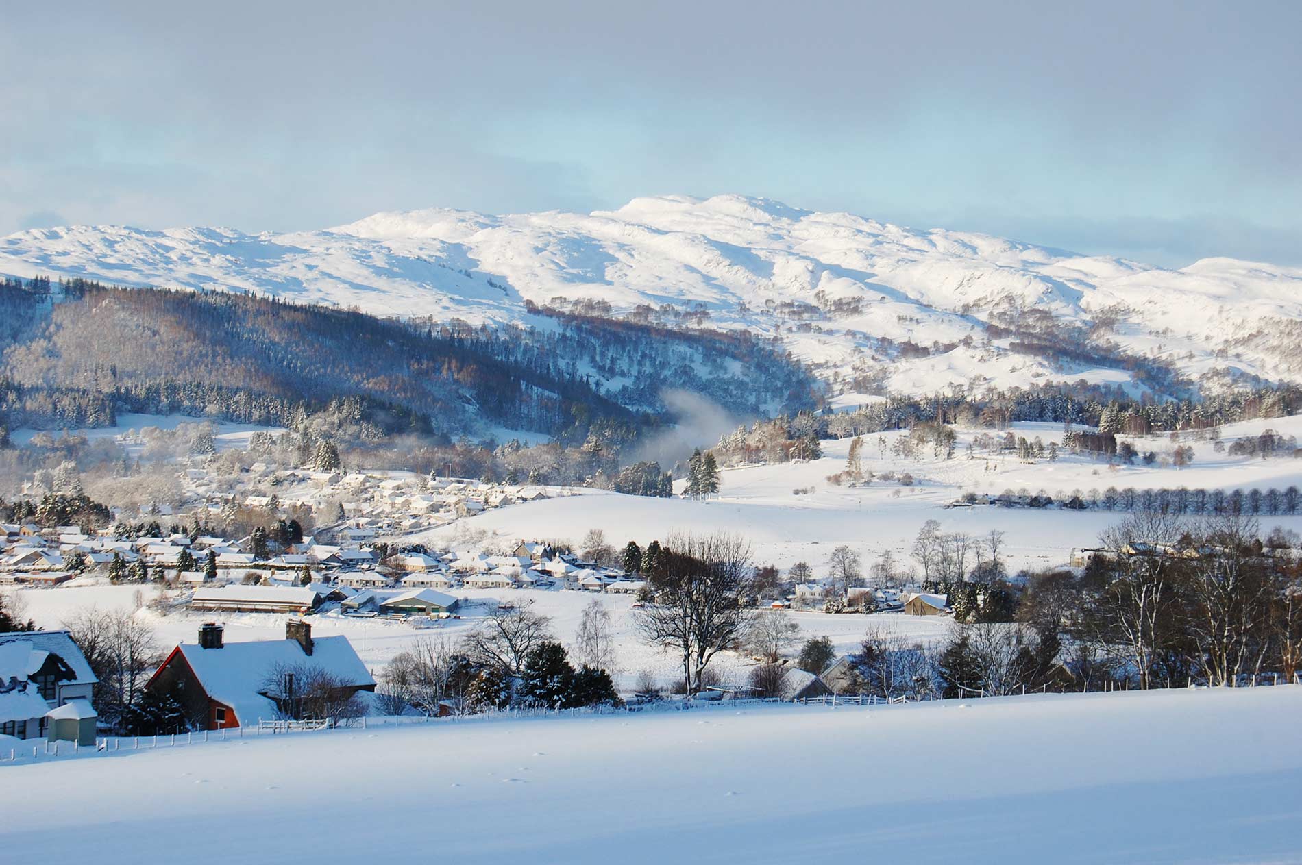 winter wonderland.jpg