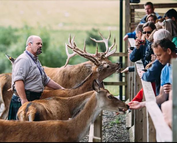 Highland Safaris.JPG